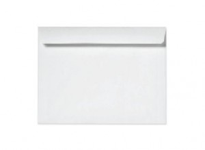 6 x 9 Booklet Envelopes