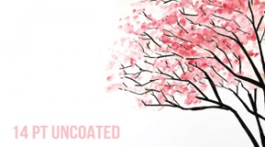 Uncoated Cards (14pt)
