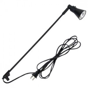 Black 50W Light