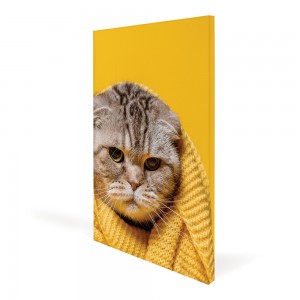 Canvas Frames