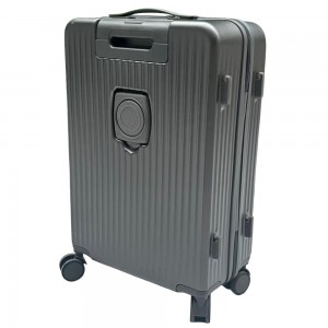 EZ Flight Display w Carry on