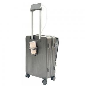 EZ Flight Display w Carry on