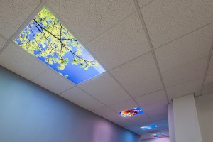 Backlight Illumination Film