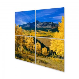 Metal Prints