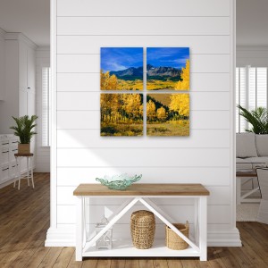Metal Prints