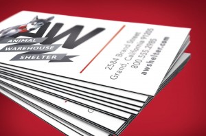 Edge Pinstripe Cards (32pt)