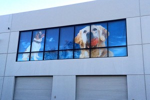 Backlit Fabric Printing