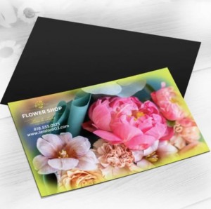 5x7 Magnet Postcards
