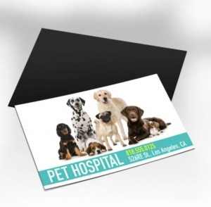 Magnet Business Cards