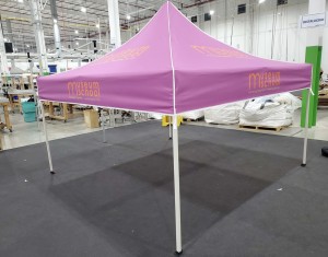 10ft Steel Canopy Tent