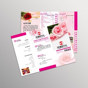 8.5x11 Brochures