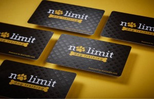 Plastic 30mil Credit Cards