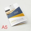 8.5x11 Brochures